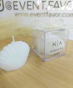 Bougie d'huître Dans Boîte