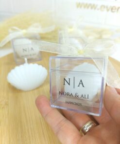 Bougie d'huître Dans Boîte